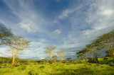 Tanzania 2010 2157.jpg