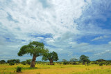 Tanzania 2010 2872.jpg