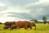 Tanzania 2010 3076.jpg