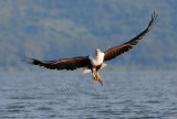 KN1_2060.jpg