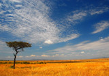 KN2_0358.jpg
