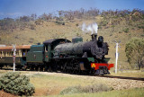 Original Ghan rolling stock now operates the Pichi Richi Railway in SA