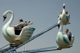 Flying swans at the amusement park