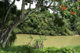 Sungei Lipis, Kuala Lipis; in 1990 the river nearly burst its banks