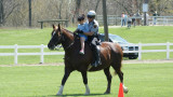 Lancaster Mounted Patrol Officer 2