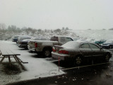 AINT IT PRETTY