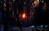 Sunrise  20100308_21 Rt 141.JPG
