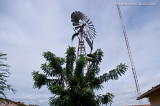 Catavento e Pavo
