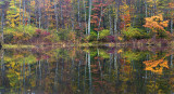 Pond Reflection 1 - New Hampshire