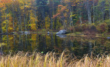 Pond Reflection 2 - New Hampshire