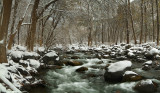 Oak Creek Snowy Rapids