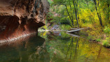 Oak Creek West Fork Reflection 2