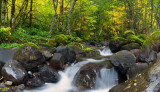 Oregon - Cascading Stream_23x40