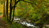 Columbia River Gorge - Tanner Creek 2