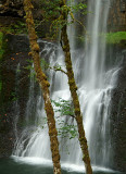 Silver Falls SP - Lower South Falls 2