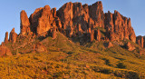 Lost Dutchman SP - Brittlebush  Superstition Mountains 2