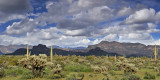Peralta Trail - Superstitions  Spring Clouds