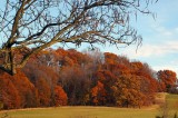 Fall in Sugarloaf***VIEW IN LARGE*****