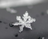 An Almost Snowflake
