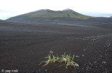 Along the way to Landmannalaugar