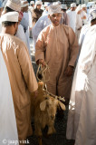 Friday Livestock Souq