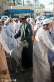 Friday Livestock Souq