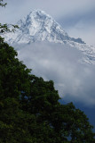 Peak from the Mist