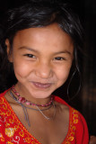 Rose of Tandrang