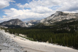 Tioga pass (California) USA