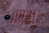 Game board carved into rock. Neolithic?