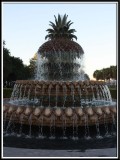 The Pineapple fountain