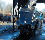 60007 Sir Nigel Gresley under the coaling plant..jpg