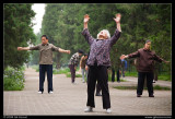Temple of Heaven, Early Morning Tai Chi