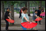 Temple of Heaven, Early Morning Tai Chi
