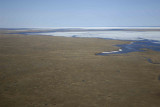 Coastal Plain, Icy Reef, from plane-062909-ANWR, AK-#0086.jpg