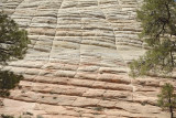 Checkerboard Mesa-050110-Zion Natl Park, UT-#0453.jpg