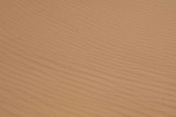 Sand, Sand Dune Arch-050510-Arches Natl Park, UT-#0390.jpg