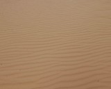 Sand, Sand Dune Arch-050510-Arches Natl Park, UT-#0406.jpg