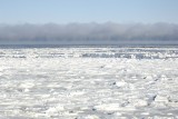 Sea Ice Forming-110607-Churchill Wildlife Mgmt Area, Manitoba, Canada-#0661.jpg