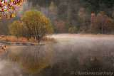Morning Chill_DSC_4630_1.jpg