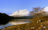 Liagach.jpg Glen Torridon