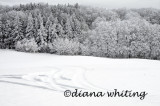 WinterLandscape 13