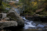 Cowshed Falls Downstream