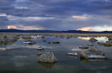 96062727 MonoLake OneSeagull.JPG