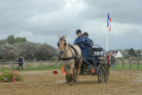 080907 Hippo Berck_121.JPG