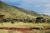 Serengeti scenery