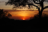 Serengeti sunset