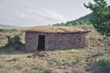The Maasai start their houses with tree branches