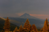 IMG_8629_DxO_raw small.jpg