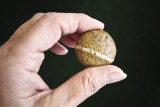 The Ringed Rock